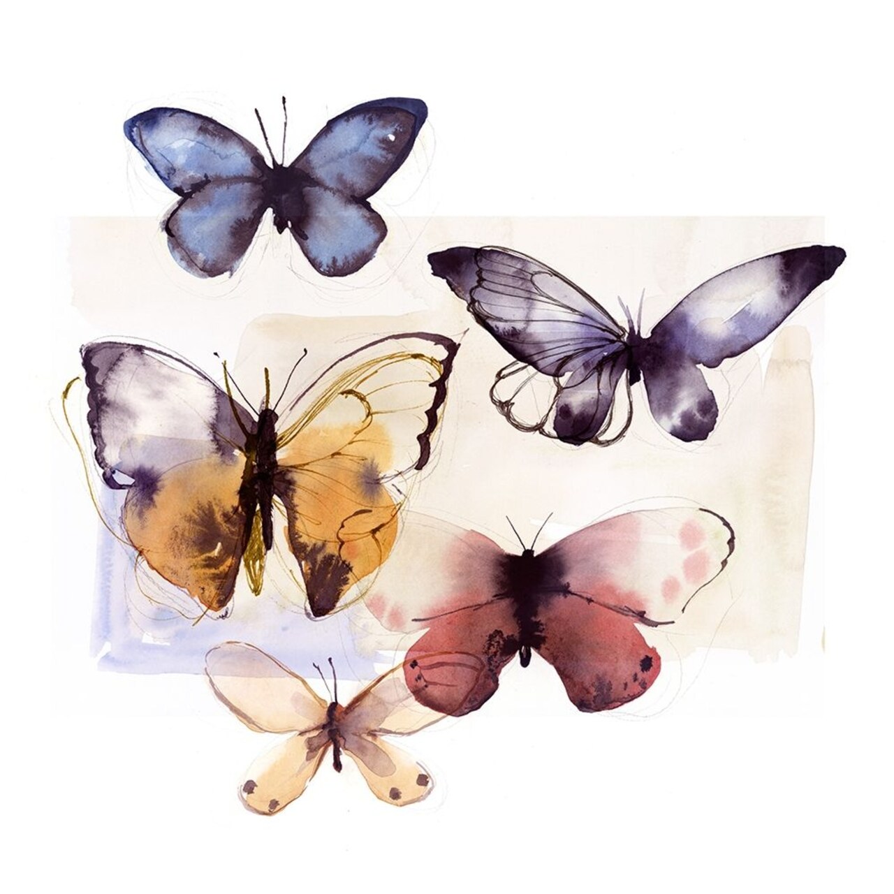 Butterfly Fly Away III�_ Poster Print by PI Studio PI Studio # PX505A